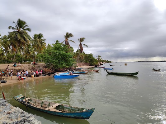 Mangue Seco