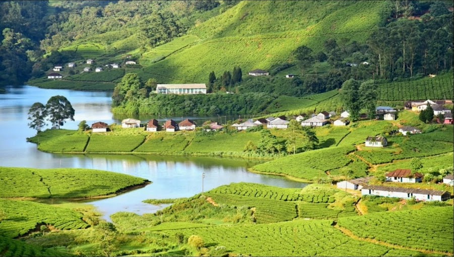 Kochi–Munnar Ghats drive — Scenic transfer — Kerala Coast and Western Ghats — India