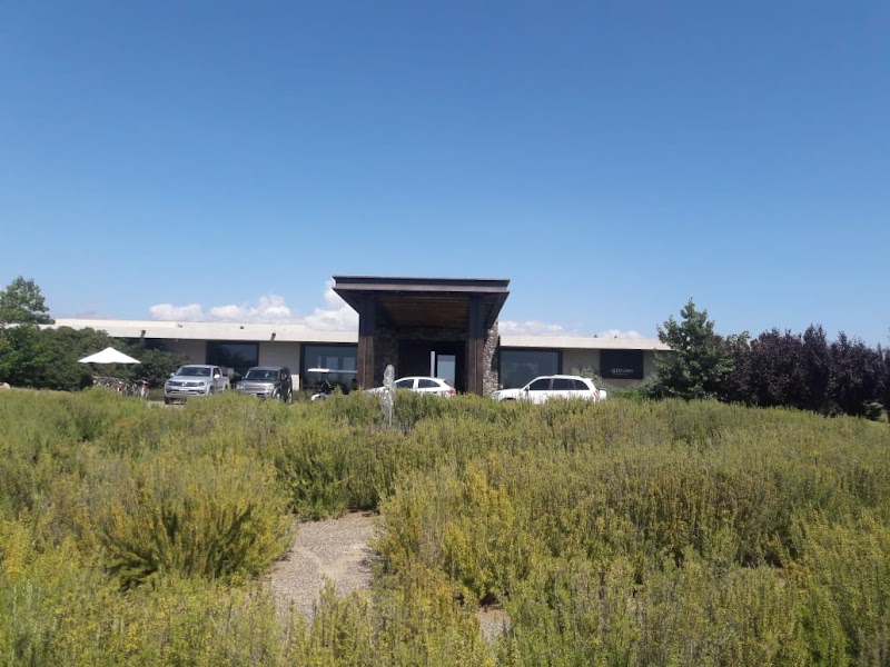 Uco Valley vineyard drive
