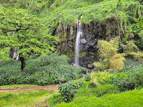 Anse des Cascades — Nature — Reunion Island Loop — Réunion