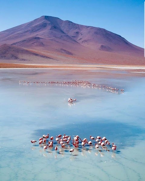 Laguna Colorada and South Lípez lagoons — Guided 4WD circuit — Salar de Uyuni Circuit — Bolivia