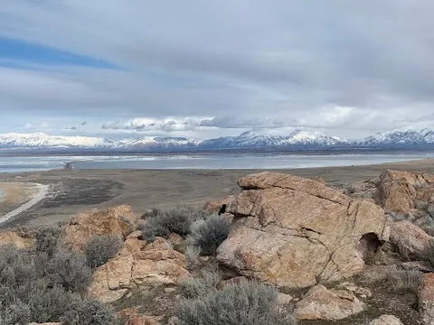 Antelope Island (separate day only) — Nature — Bonneville Salt Flats — United States