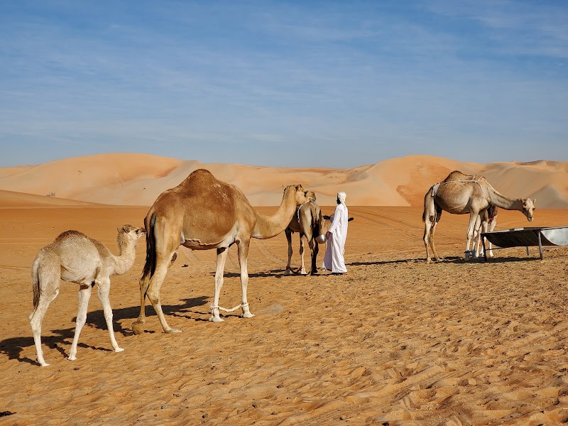 Liwa Oasis — Nature — Dubai, Abu Dhabi and Liwa Oasis — United Arab Emirates