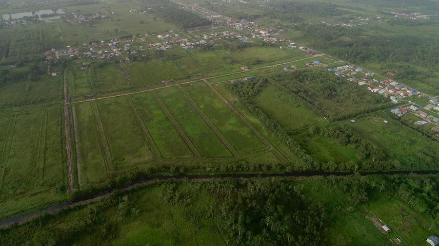 Lelydorp