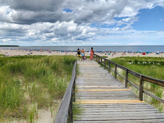 Crane Beach