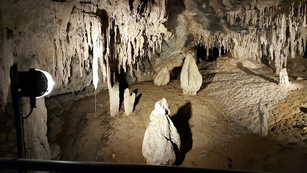 Mole Creek
