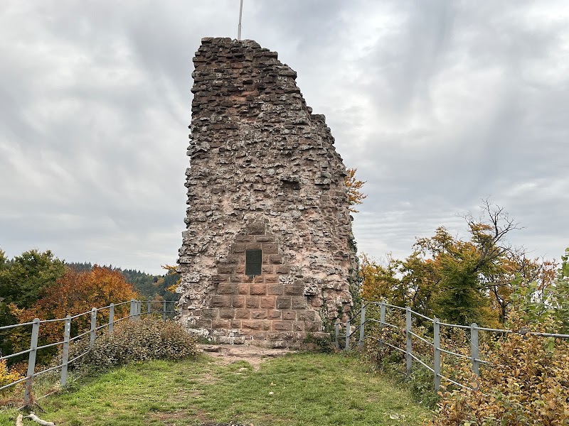Guttenberg Castle or Bad Wimpfen imperial ruins — Castle choice — German Castle Road Sampler: Mannheim to Bayreuth — Germany