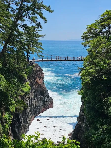 Jogasaki Coast — Nature — Izu Peninsula Loop — Japan
