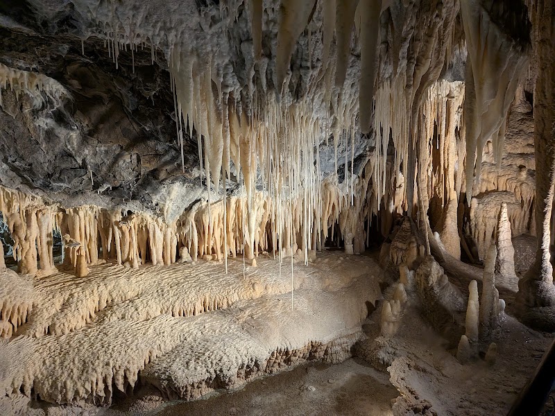 Marakoopa Cave tour — Booked cave tour — Great Western Tiers — Australia