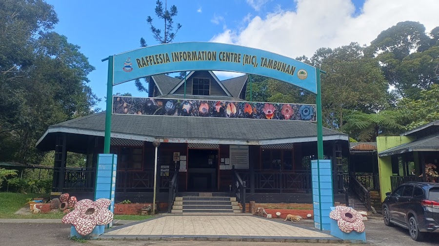 Rafflesia Information Centre trek — Guided nature walk — Sabah Highway 500: Kota Kinabalu to Tambunan — Malaysia