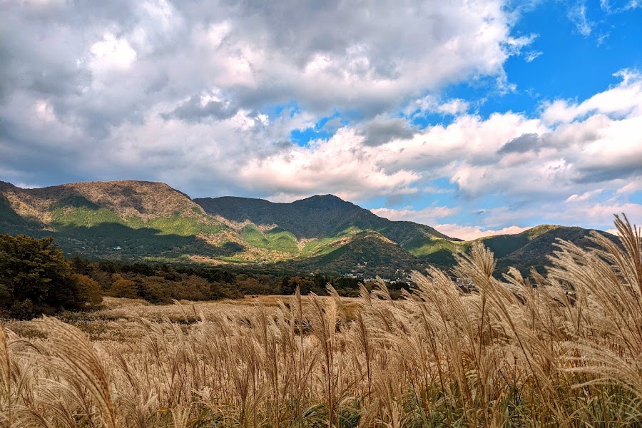 Sengokuhara — Nature — Fuji Kawaguchi-Hakone-Odawara Traverse — Japan