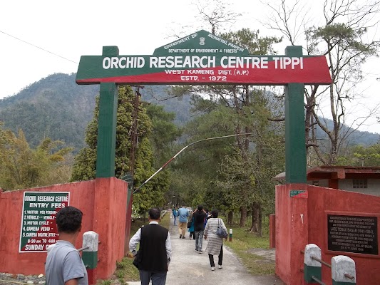 Tipi Orchidarium