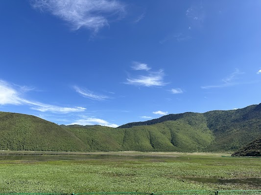 Napa Lake