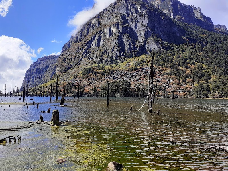 Bum La and Sangetsar Lake authorized excursion — High-altitude excursion — Guwahati to Tawang via Nameri and Sela Tunnel — India