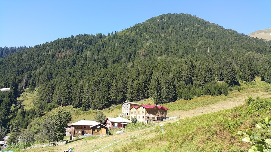 Ayder Yaylası