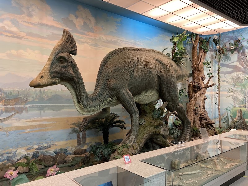 Grodekov Museum — Museum — Chita to Vladivostok via the Amur and Ussuri Highways — Russia