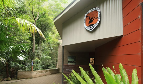 Minnamurra Rainforest