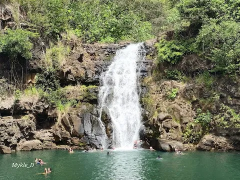 Waimea Valley — Nature — Oʻahu Windward and North Shore Trip — United States