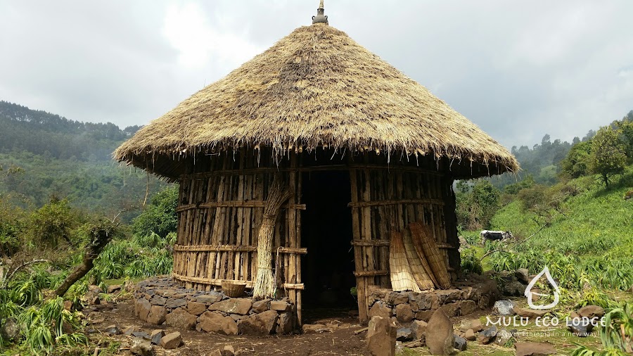 Mulu Guest House Restaurant — Ethiopian — Danakil Depression Expedition — Ethiopia
