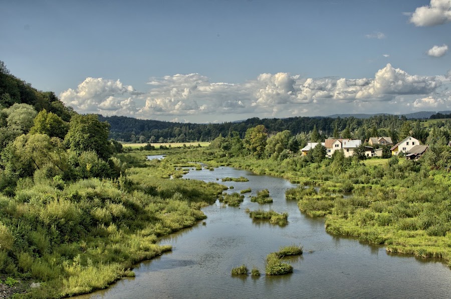Myczkowce Lake — Природа — Bieszczady Mountains Polish Wilderness — Польша