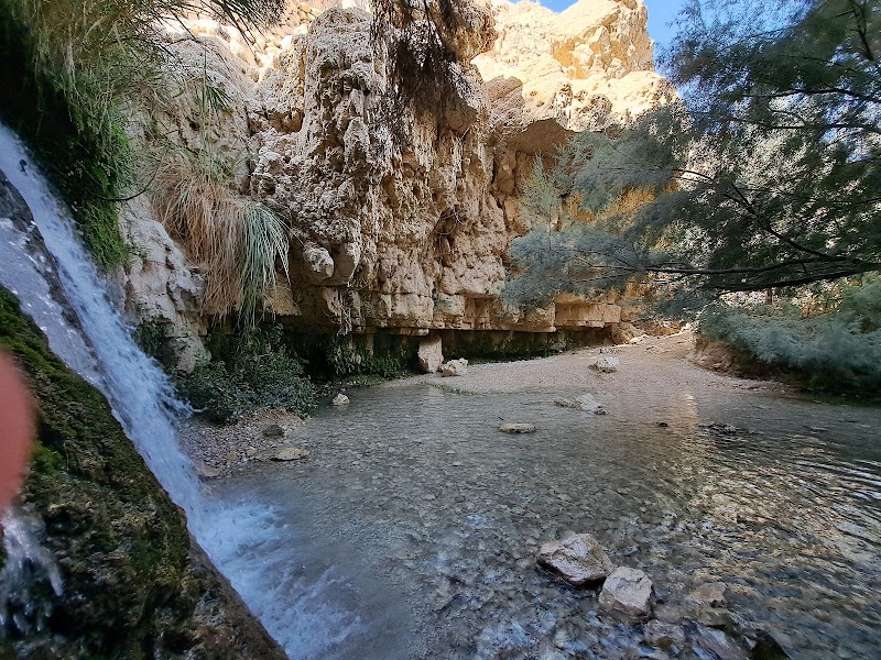 Dead Sea and Ein Gedi — Nature — Jerusalem to Acre via Dead Sea, Negev and Galilee — Israel and West Bank