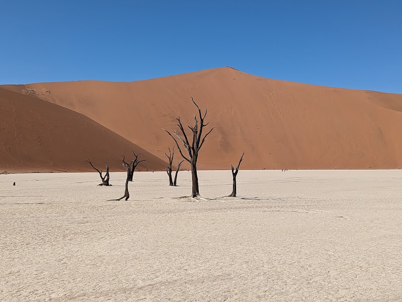 Deadvlei