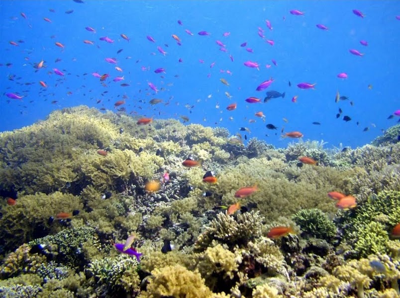 Bunaken National Marine Park — Arrival — Sulawesi Highlands Tana Toraja to Bunaken — Indonesia