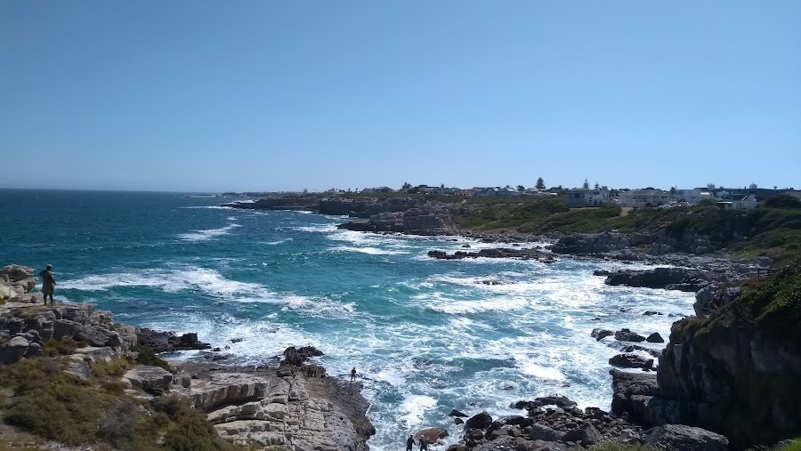 Hermanus Cliff Path Whale Watching — Nature — Cape Town & Garden Route — South Africa