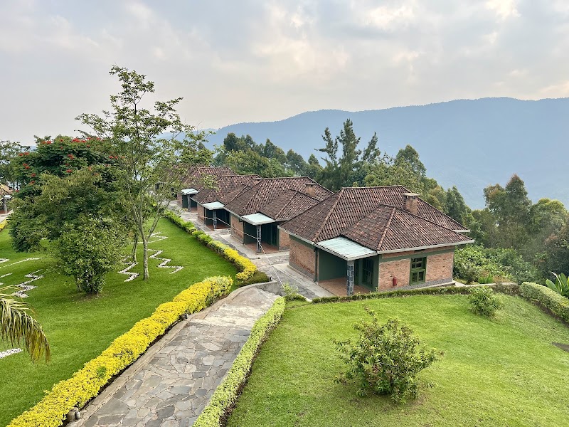 Nyungwe Top View Hill Hotel restaurant — Lodge dining — Lake Kivu Road Drive — Rwanda