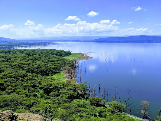 Rhino viewing in Lake Nakuru National Park