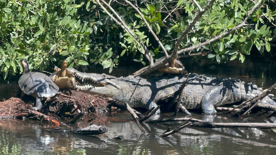 La Tovara National Park