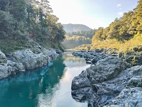 Pelorus Bridge short walk — Forest and river walk — Nelson & Marlborough Explorer — New Zealand