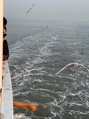 Alibag