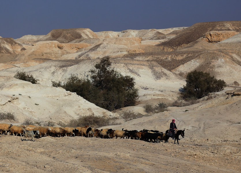 Ghor al-Safi — مدينة — البحر الميت ووادي الأردن — الأردن