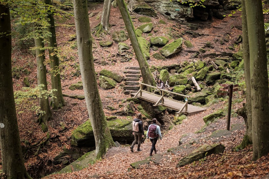 Mullerthal Trail — hiking — Mullerthal Little Switzerland — Luxembourg