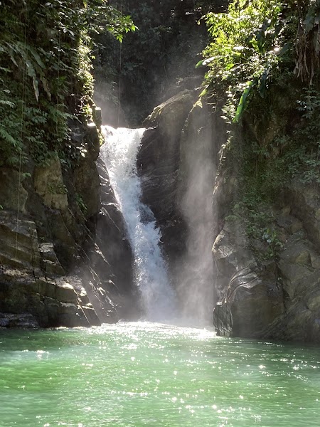Paria Waterfall Trailhead — Nature — Trinidad North Coast Road — Trinidad and Tobago