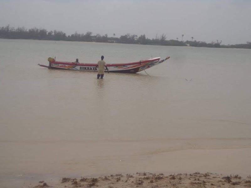 Langue de Barbarie Pirogue Tour — nature — Dakar to Saint-Louis Coast — Senegal