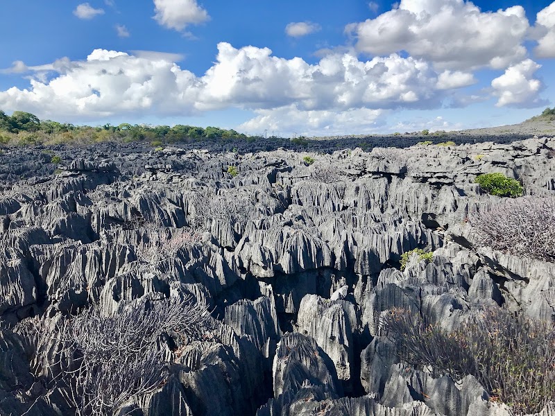 Ankarana Reserve — Nature — Northern Madagascar and Tsingy de Bemaraha — Madagascar