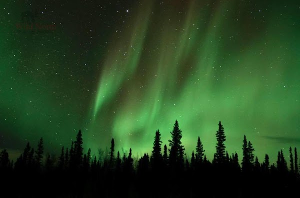 Northern Lights Restaurant