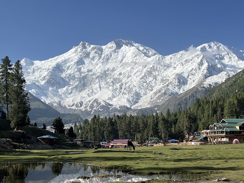 Nanga Parbat sunrise from Fairy Meadows — Mountain viewpoint — Naran, Babusar Pass and Fairy Meadows — Pakistan