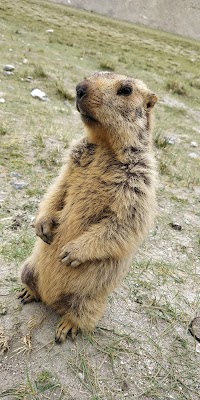 Pang Wildlife Sanctuary
