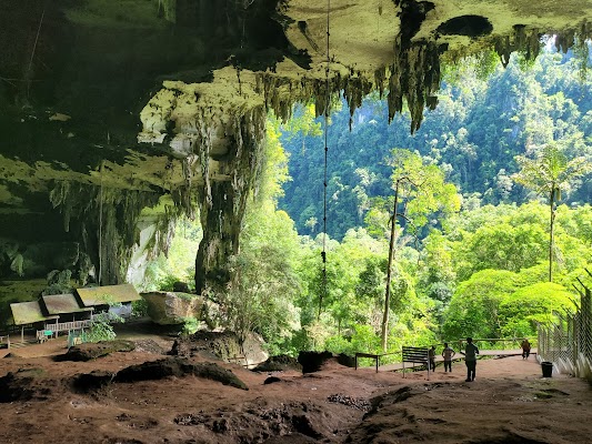 Great Niah Cave