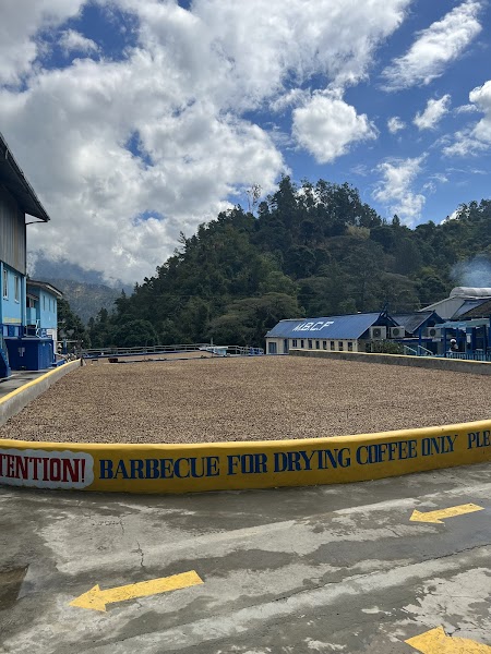 Mavis Bank — City — Blue Mountains and North Coast Jamaica — Jamaica