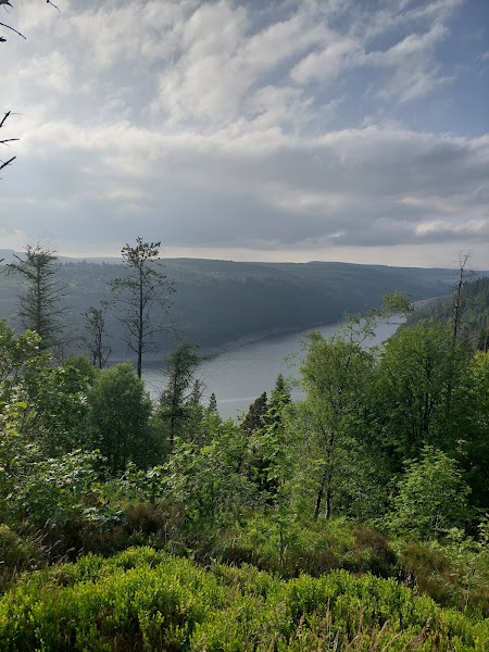 Tywi Forest 2.3 km trail — Optional waymarked walk — Abergwesyn Mountain Pass — Wales
