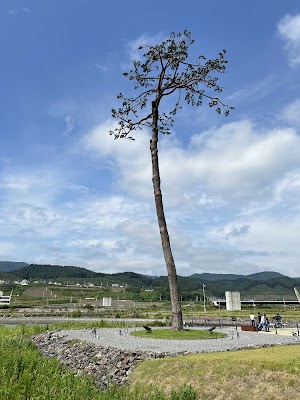 Sanriku Fukko National Park