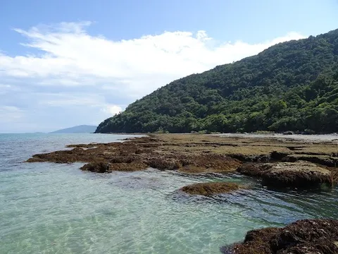 Cape Tribulation — Arrival — Captain Cook Highway and Daintree Coast — Australia