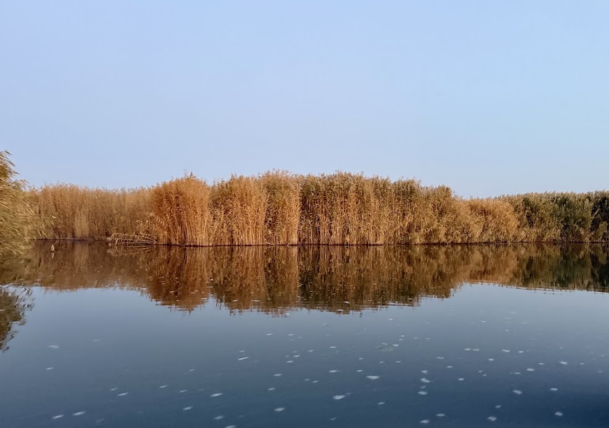 Bosten Lake and Korla — Nature — Northern Tarim Silk Road: Ürümqi to Kashgar — China