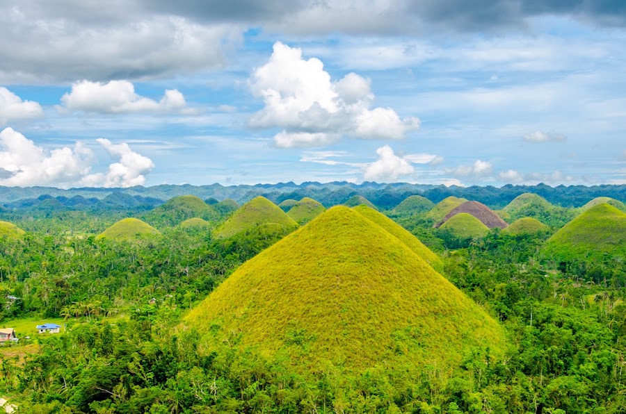 Bohol countryside and Panglao — Nature — Cebu and Bohol Road Trip — Philippines