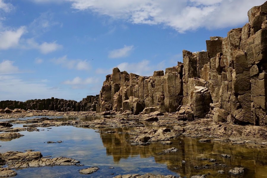 Bombo Headland Geological Site — Coastal walk — Grand Pacific Drive — Australia