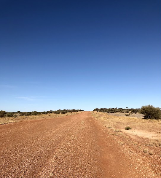 Great Central Road transfer — Remote 4WD transfer — Gunbarrel Highway and Great Central Road to Uluru — Australia